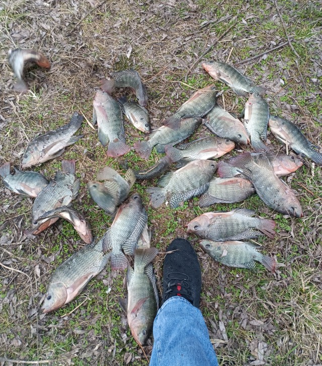 Открыл сезон (хотя на этом водоёме он никогда не закрывается).