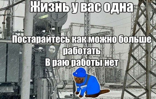 Весёлый полтишок 14.05.25.