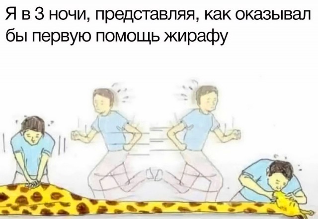 Весёлый полтишок 06.06.25