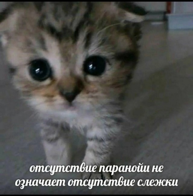 Немножко картинок содержащих