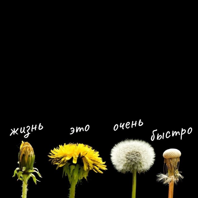 Вот и день прошёл.