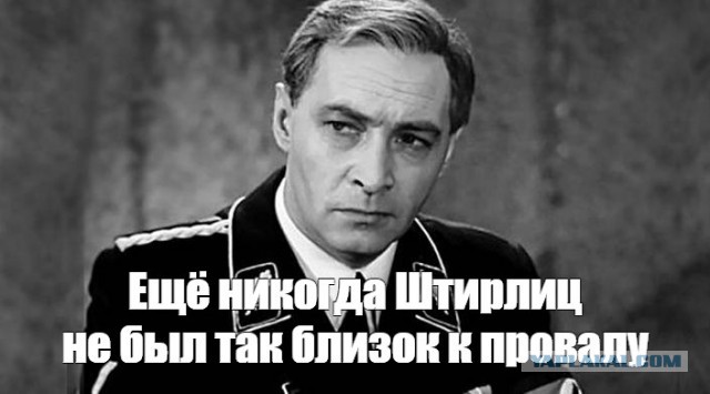 Как же здорово мимопроходил мимокрокдил с сигой и решил подпеть уличным музыкантам