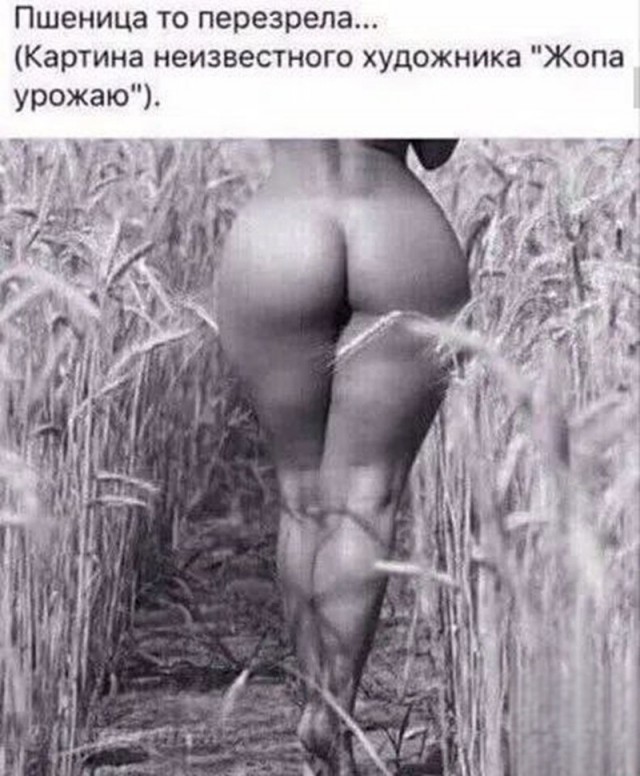 Забавные и не очень скромные картинки-37