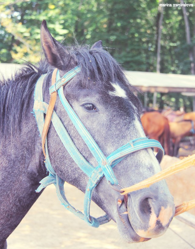 Крым: Судак и окрестности