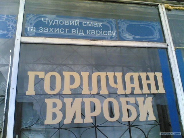 Жизнь вокруг меня
