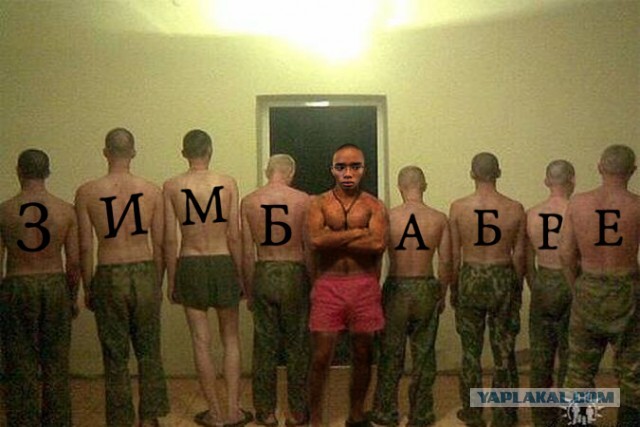 Как тебе служится,с кем тебе дружится