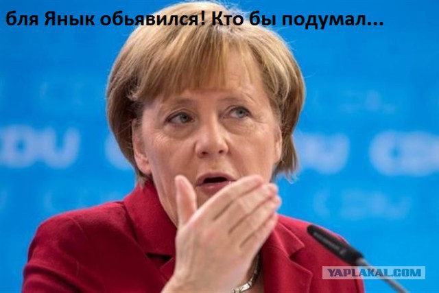 Прямая трансляция пресс-конференции!