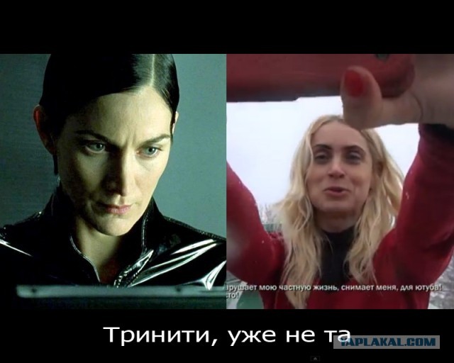 СтопХам 74 Истерика