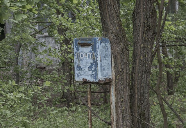 Рыбная ферма в Чернобыле