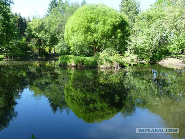 Деревенская Америка