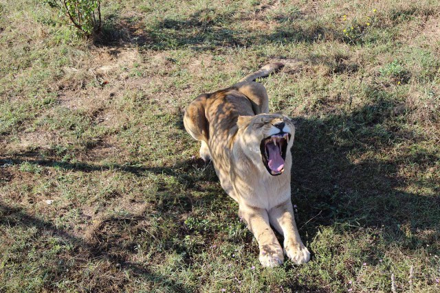 Отчёт о поездке в Крым 12.07 - 29.07