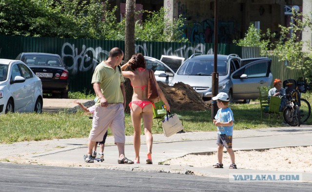 Весёлые картинки