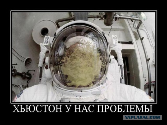 Веселые картинки