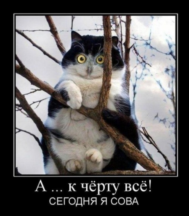 Приуныл