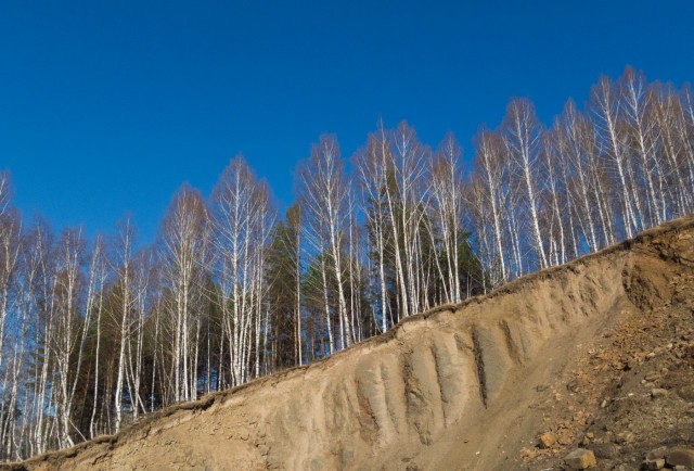 Деревенская Америка