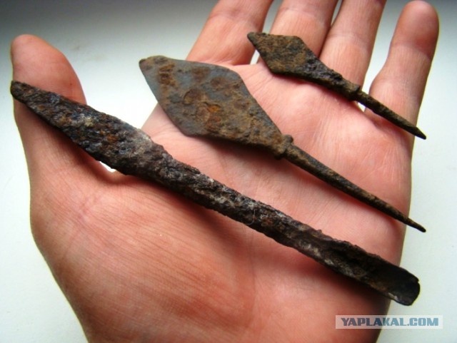 Норвежец нашел меч викингов 1200-летнего возраста