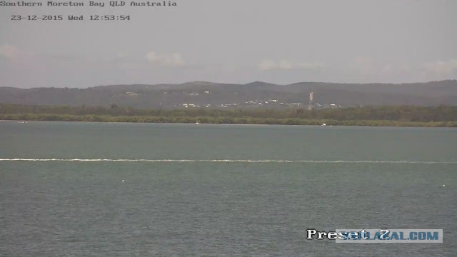 За что я люблю китайцев