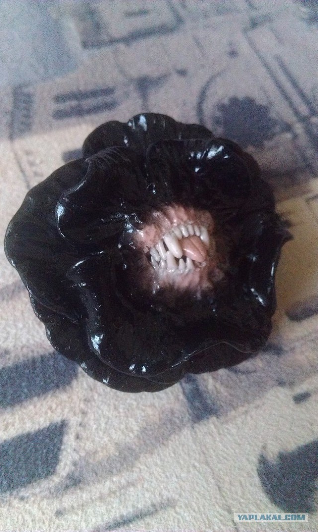 Воскресная подборка картинок