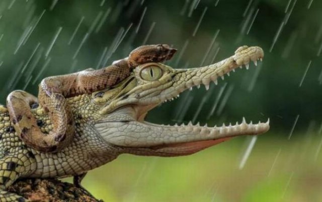 Картинки из сети (07.04.16)