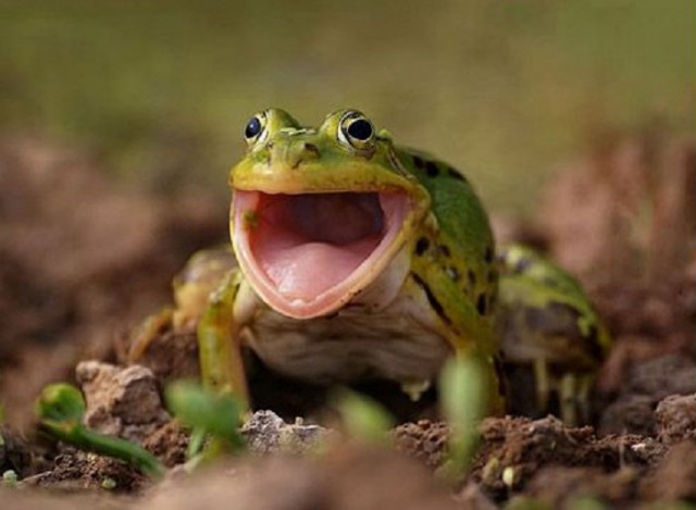 Групповушка