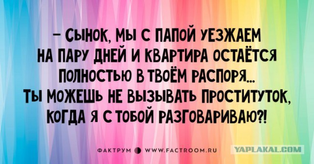 Высказывания из Интернета