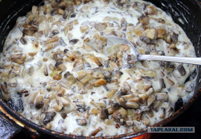 ЯПМасленица-2017