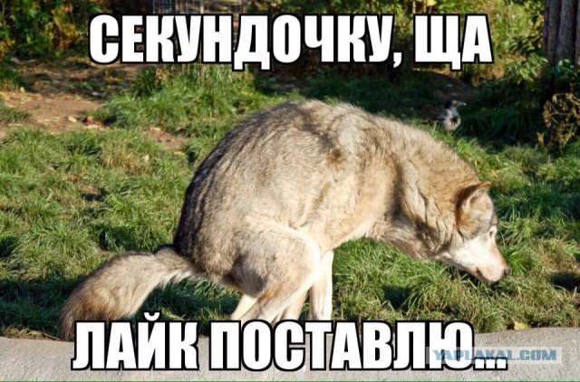 Песни Пашкета спетые другими вокалистами! (все песни в одной теме!)