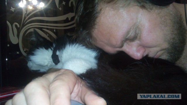 Он лежал возле гаражей в 2-х метрах от мусорного бака...