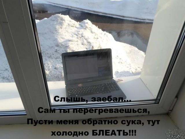 Находчивые пользователи спасают компьютер от перегрева