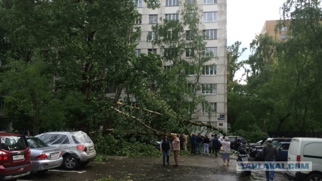 В Москве ураган!