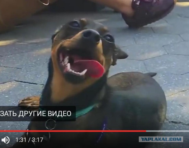 Шакира поёт для людей на улице