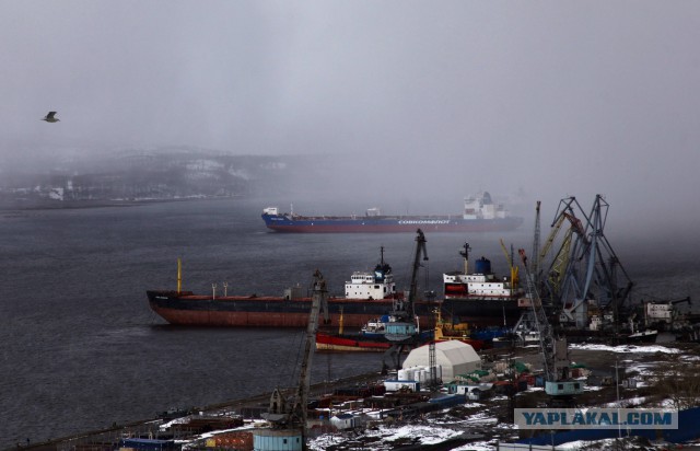 "Гора Дураков". Мурманск.
