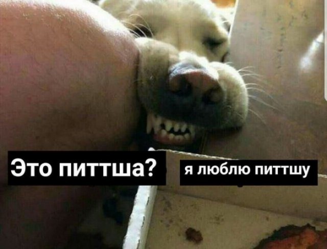 Временный пост. Всякое-разное