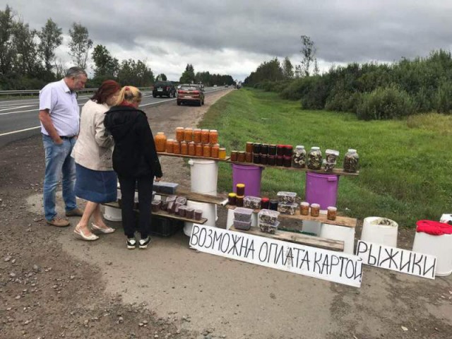 Картинки по-приколу