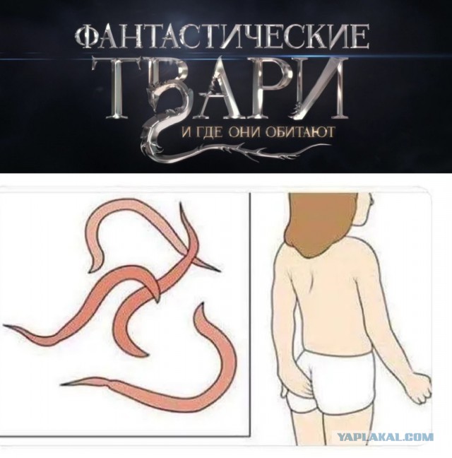 Слегка аморальный и лютый юмор. Только для ценителей