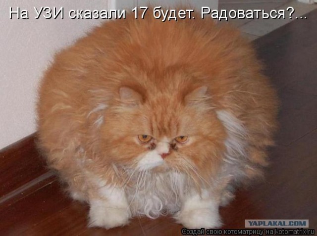 Экзотический фрукт