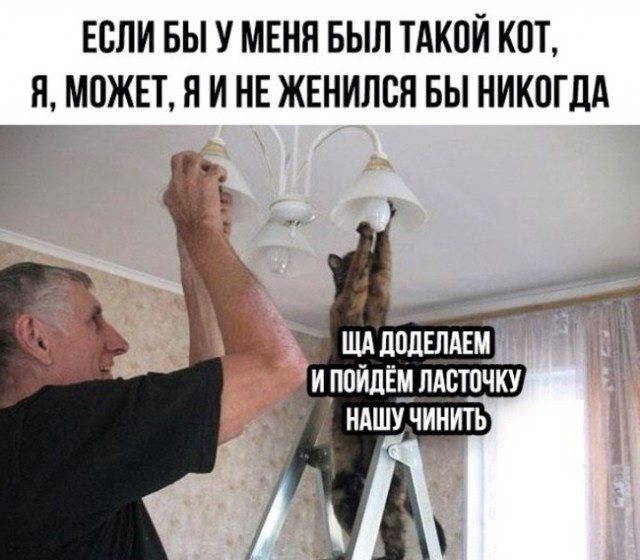Картинок разных
