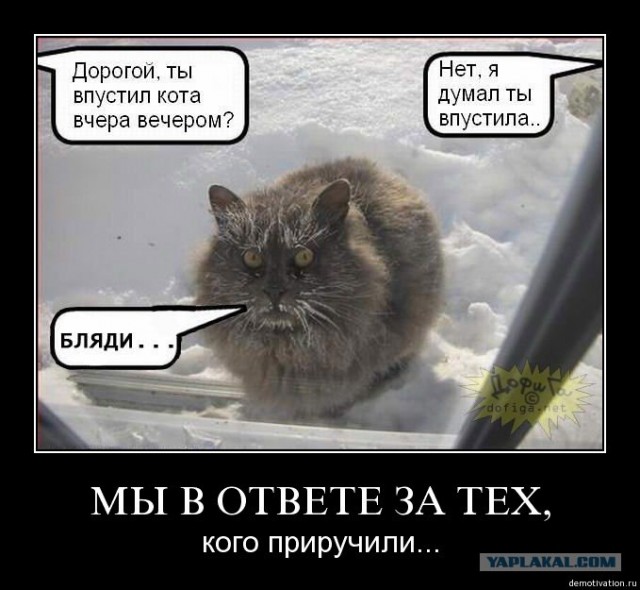 О том, как я попала в дом к хозяину.