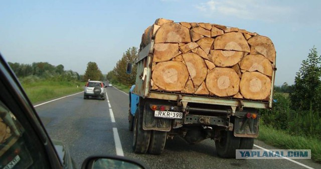 Услада для взора перфекциониста 23.05.19