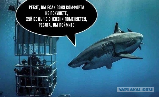 После погружения костюмы потяжелели
