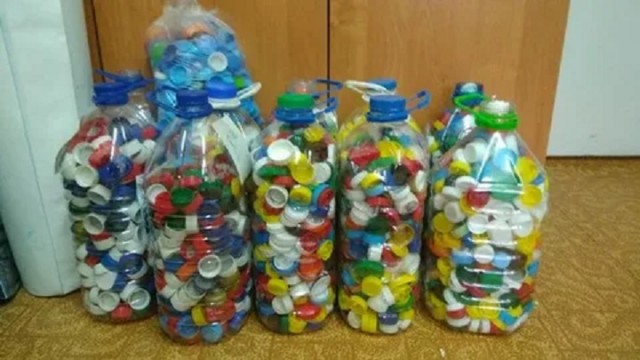 Любовь к экологии выходит на новый уровень