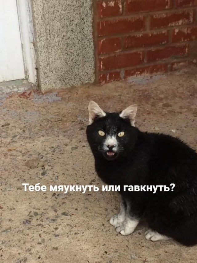 Чуток картинок 15.07.20