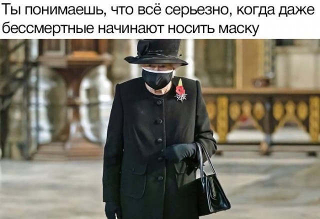 Немного картинок для настроения 10.11.20