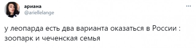 Опять подсобирал картинок, версия мартовская
