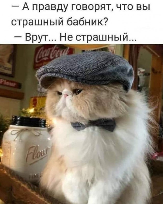 Фигня приходит в полночь, дорогие деграданты