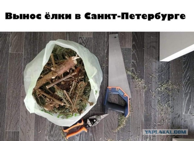 Картинки аморальные и всякие разные - 21
