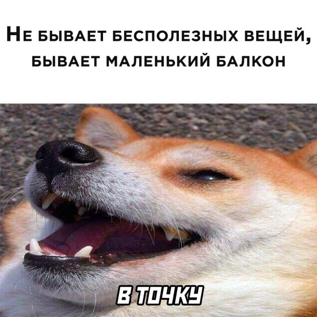 Так себе картинки 03.04.22