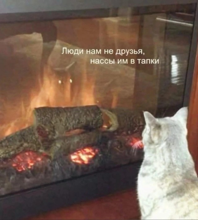 Картинки. Сборник без темы