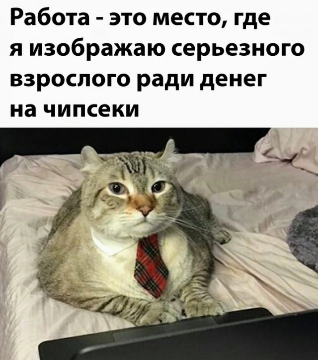 Немного картинок для настроения - 131