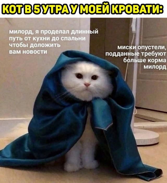 Картинки и мемы, всем хороших выходных